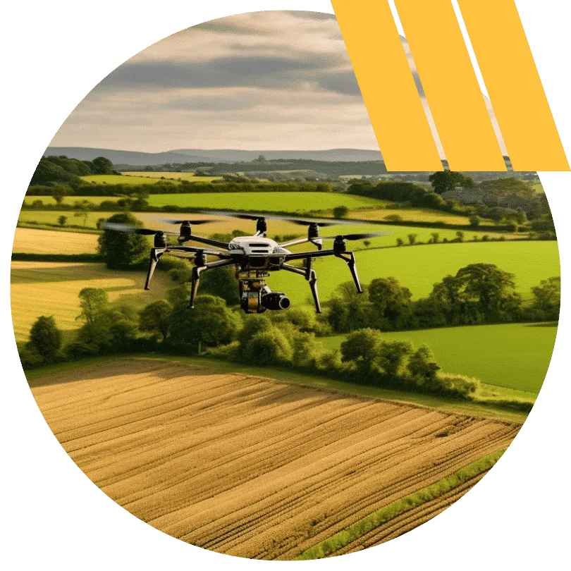 Advanced Aerial Planting Services