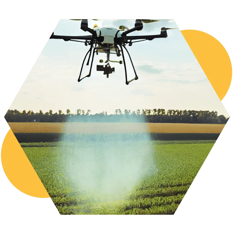 Crops That Can Be Sprayed By Drones